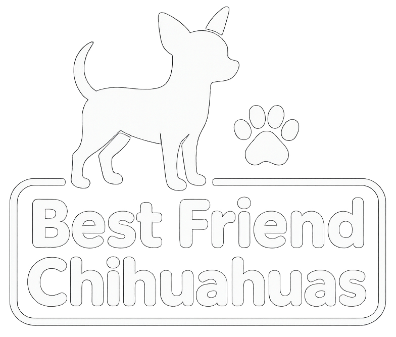 Best Friend Chihuahuas